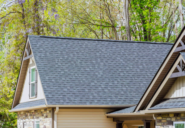 Best Skylight Installation and Repair  in Beechwood, MI